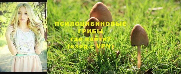 таблы Алексин