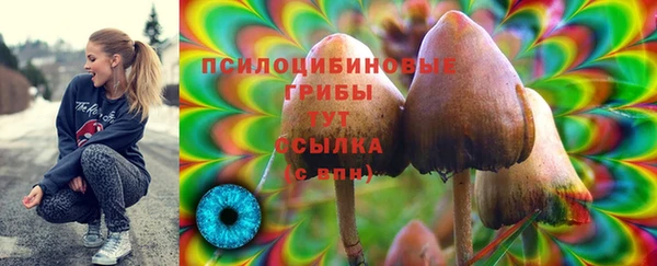 сатива Арсеньев