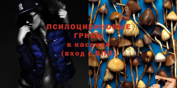трава Армянск