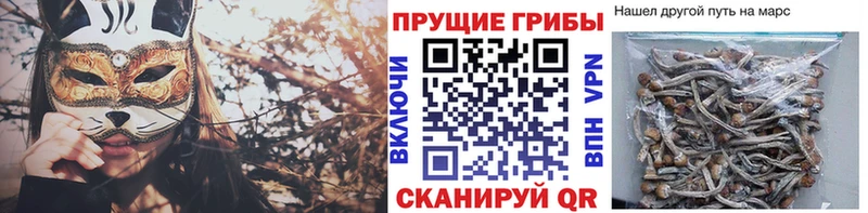 Галлюциногенные грибы мицелий Гагарин