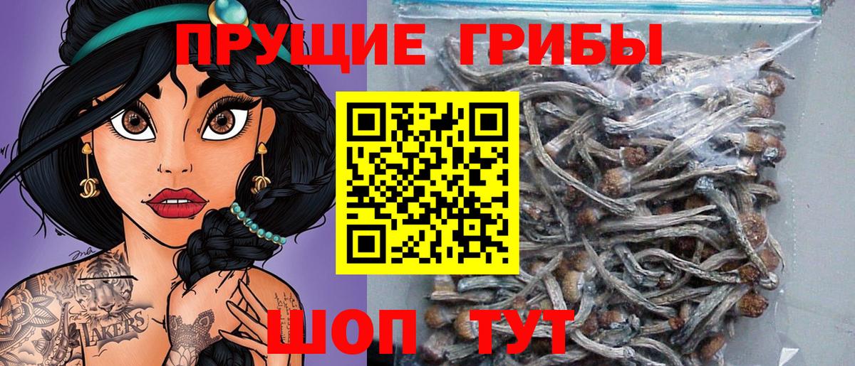наркота  Вход с VPN  Гагарин  Псилоцибиновые грибы MAGIC MUSHROOMS 