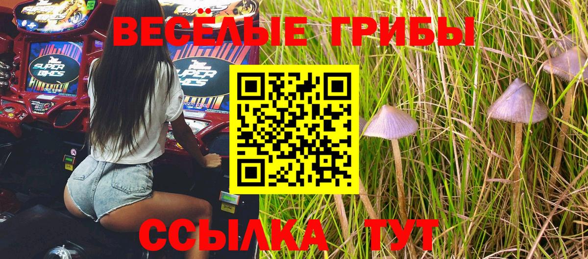 Галлюциногенные грибы GOLDEN TEACHER  Гагарин  Псилоцибиновые грибы GOLDEN TEACHER 