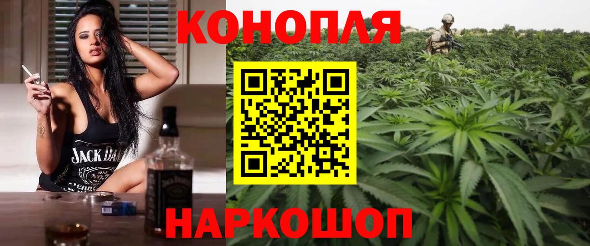 Шишки марихуана OG Kush Гагарин